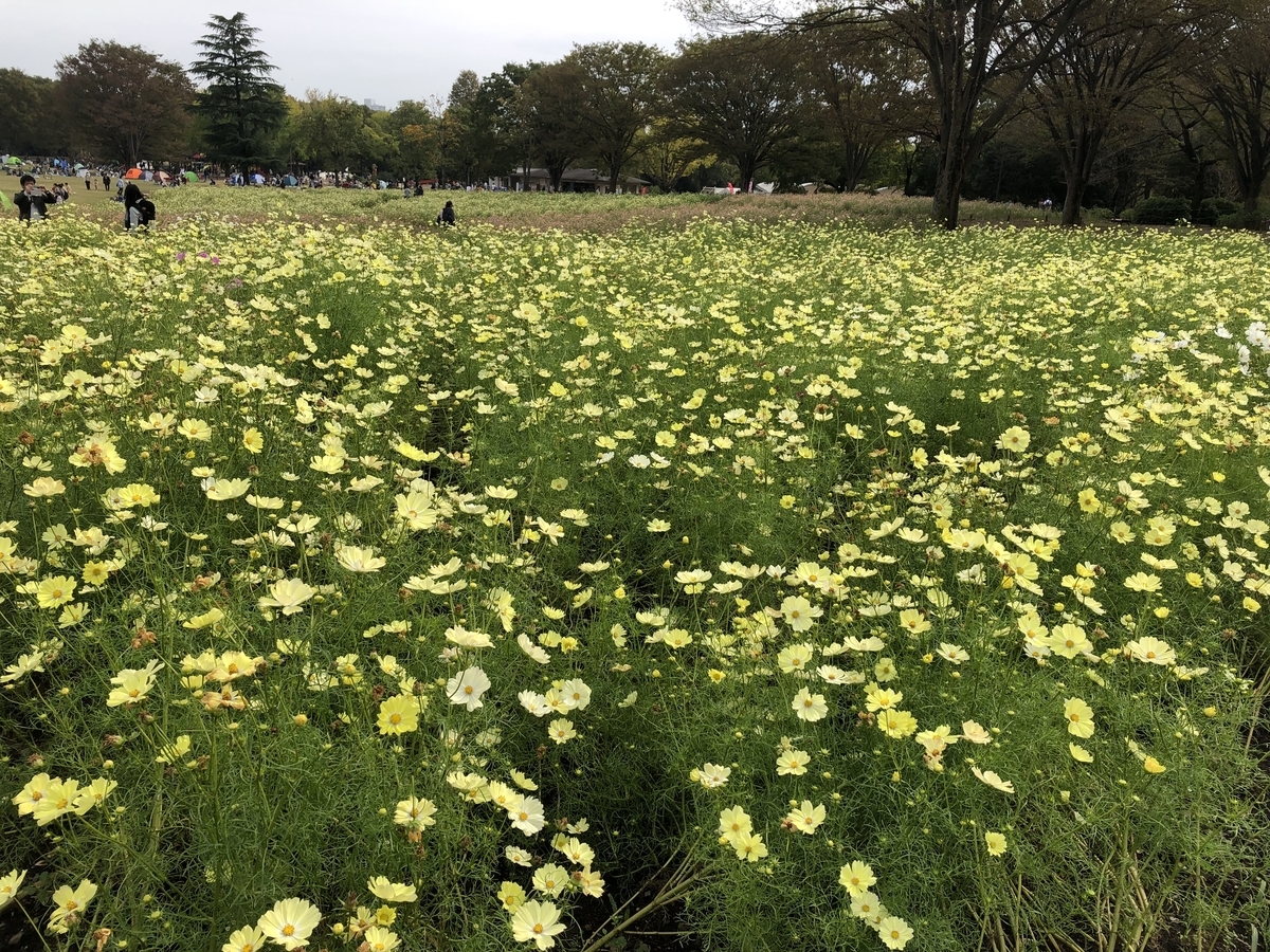 f:id:hideki-sansho:20191104133229j:plain