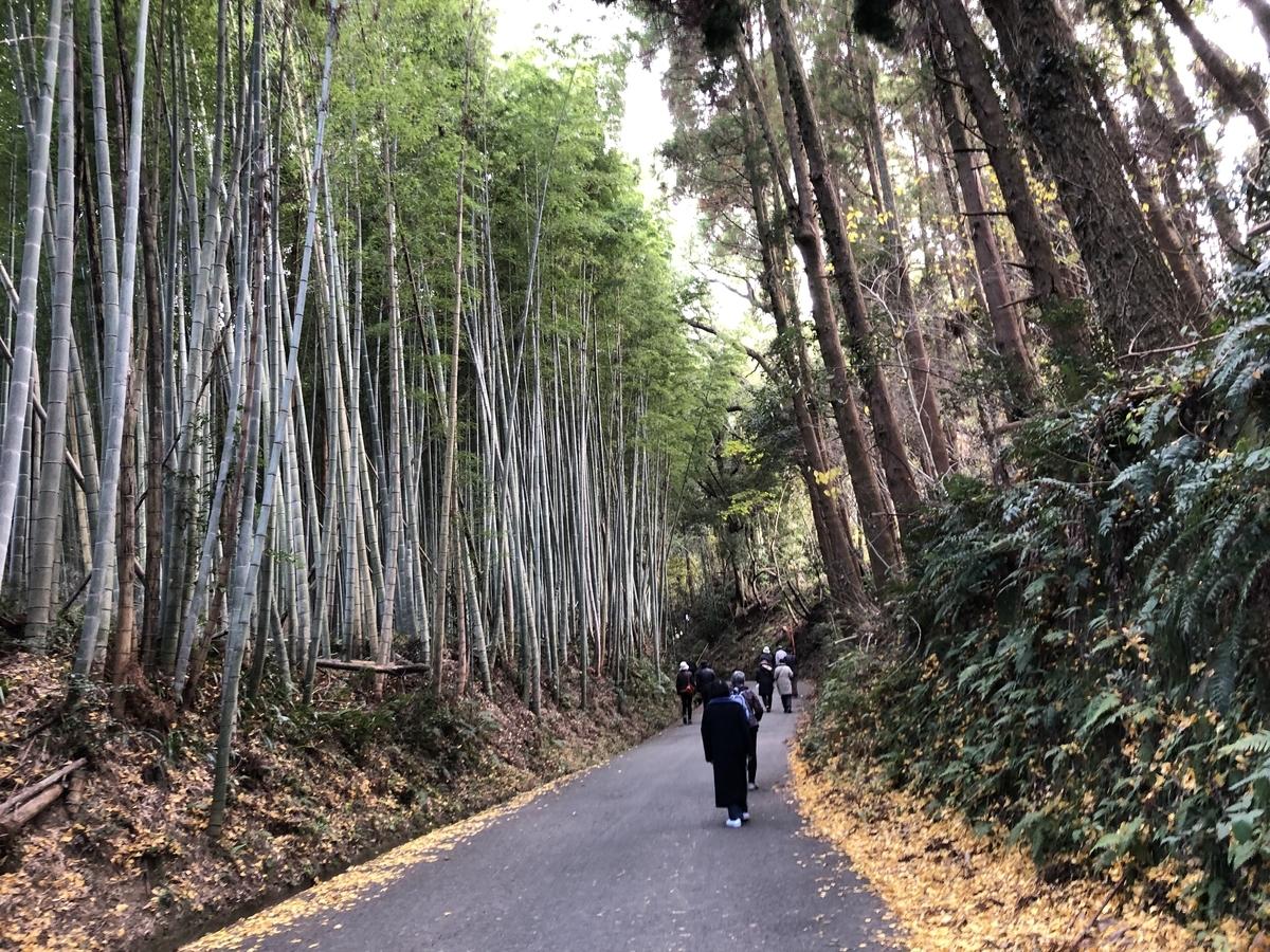 f:id:hideki-sansho:20191221131043j:plain