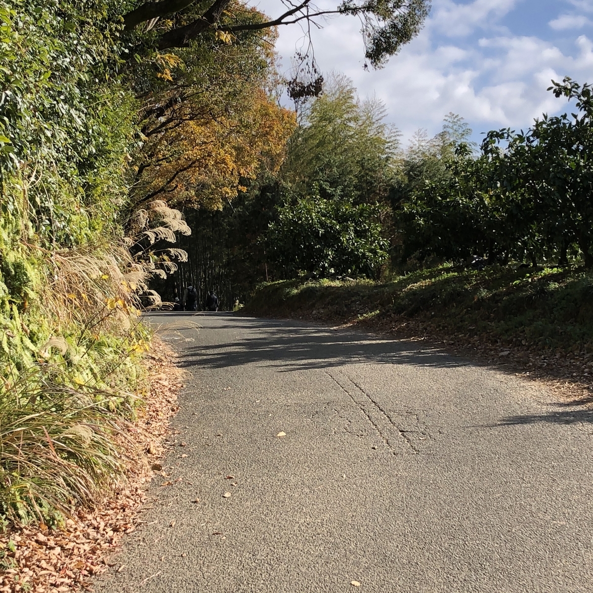f:id:hideki-sansho:20191221131211j:plain