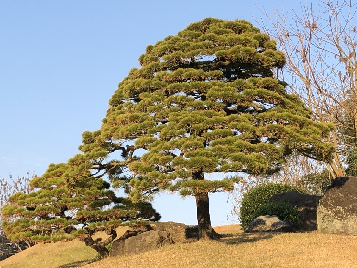 f:id:hideki-sansho:20191222155443j:plain