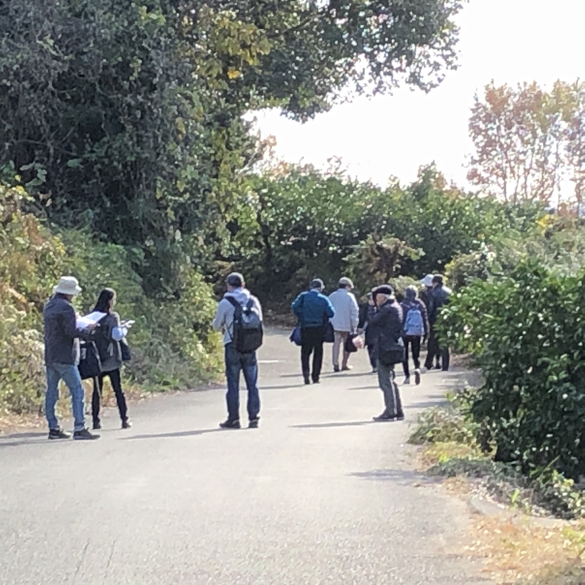 f:id:hideki-sansho:20191231080232j:plain