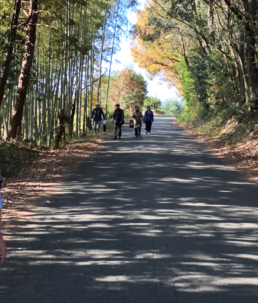 f:id:hideki-sansho:20191231080449j:plain