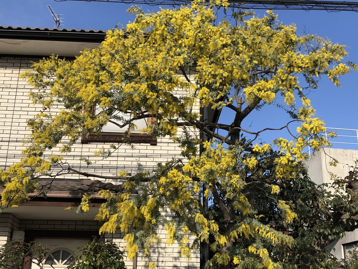 f:id:hideki-sansho:20200220150717j:plain f:id:hideki-sansho:20200220150717j:plain