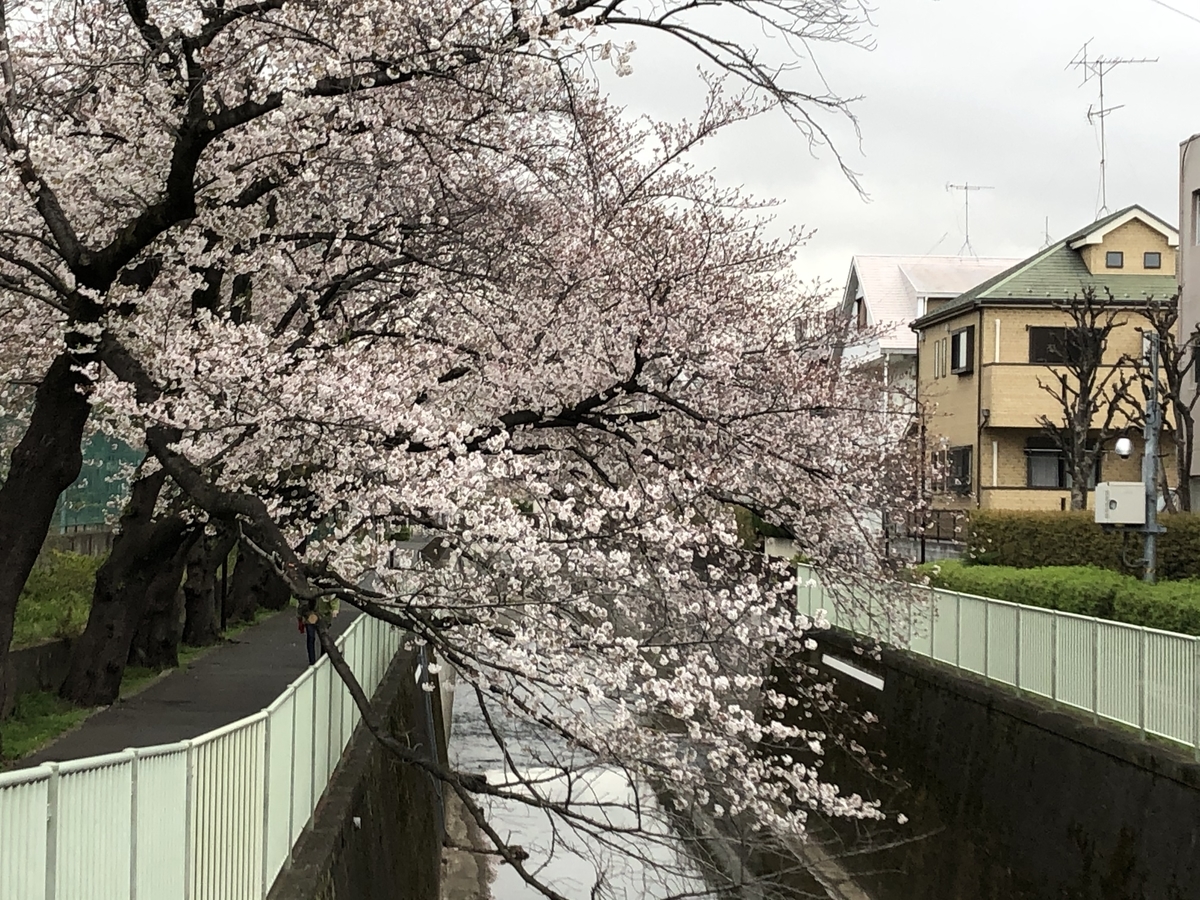 f:id:hideki-sansho:20200401190128j:plain f:id:hideki-sansho:20200401190128j:plain