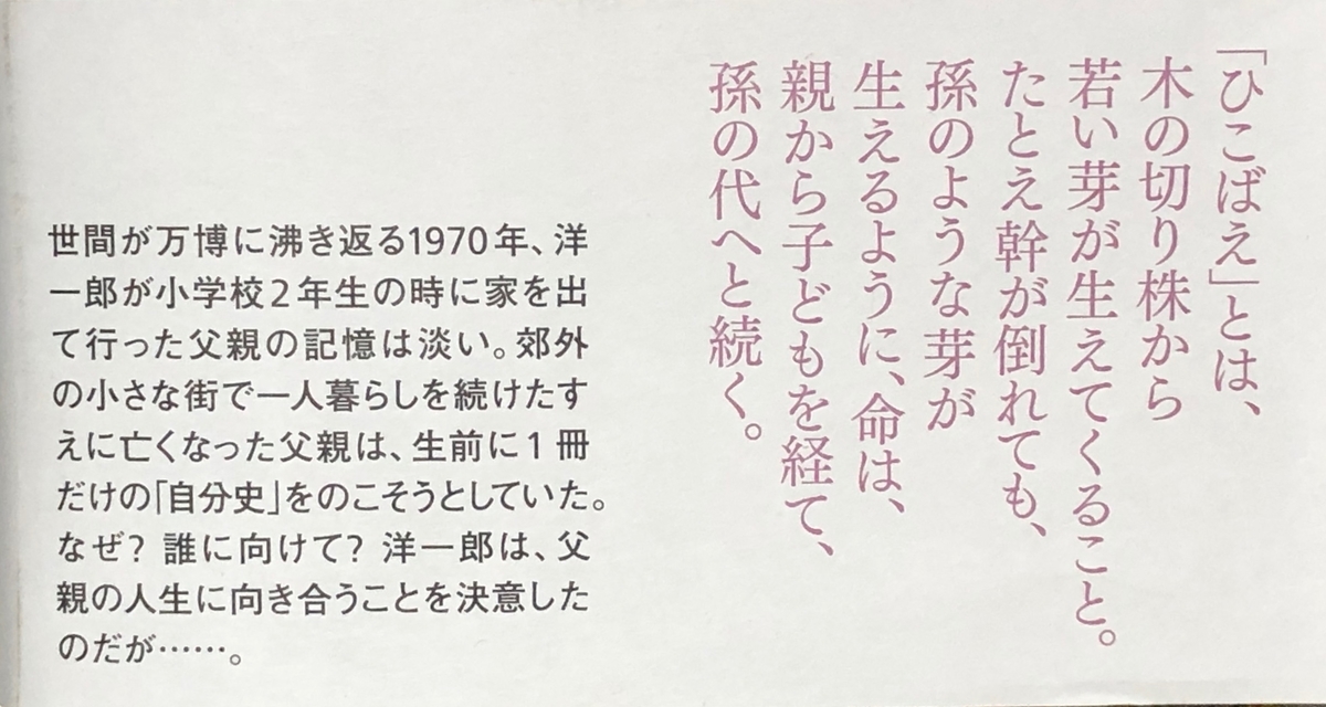 f:id:hideki-sansho:20200422170538j:plain