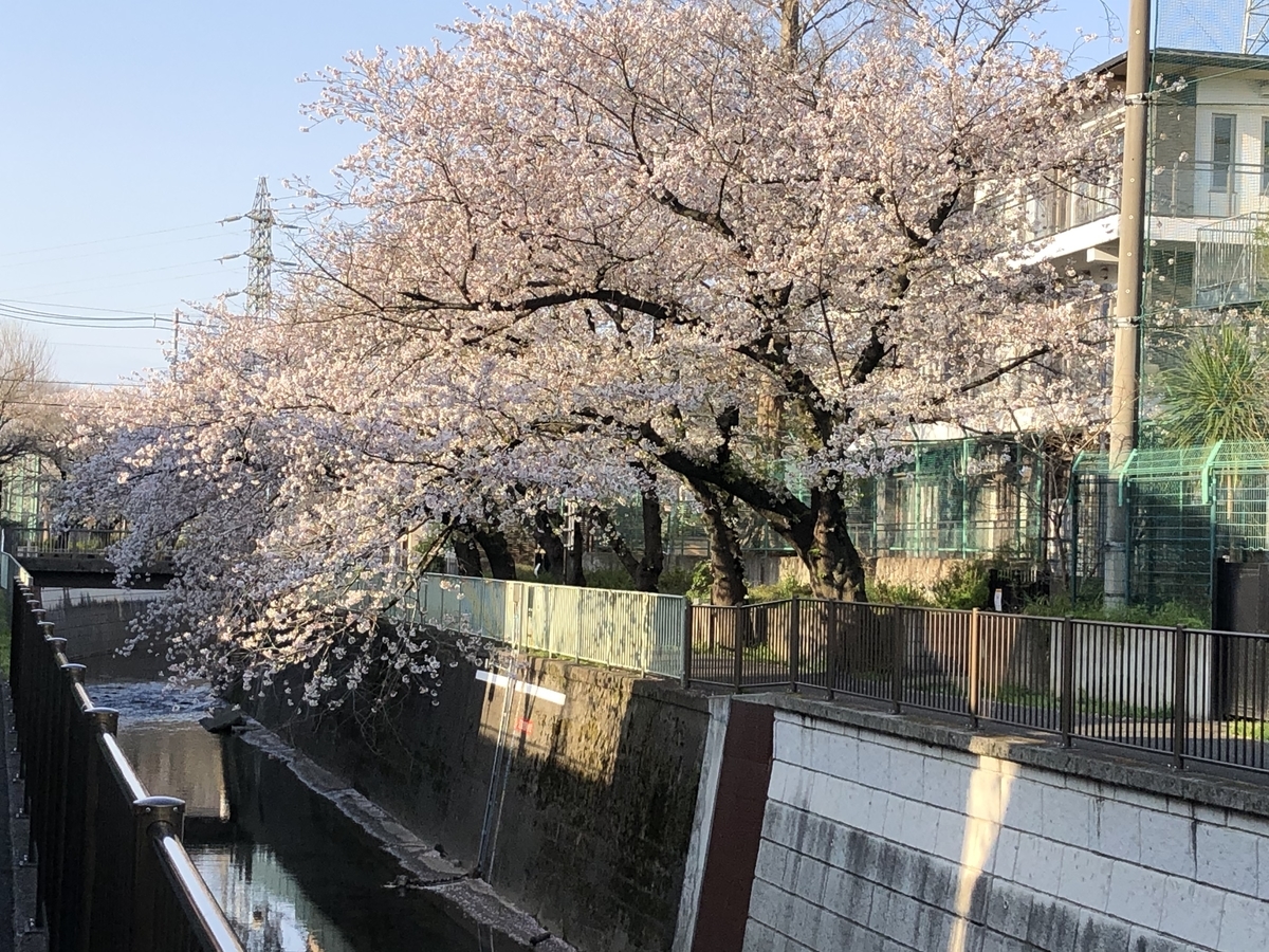 f:id:hideki-sansho:20200425154711j:plain