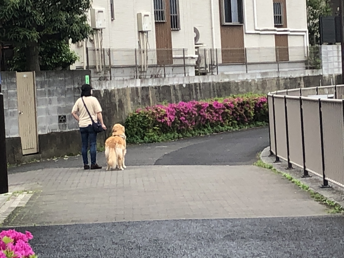 f:id:hideki-sansho:20200512114222j:plain f:id:hideki-sansho:20200512114222j:plain