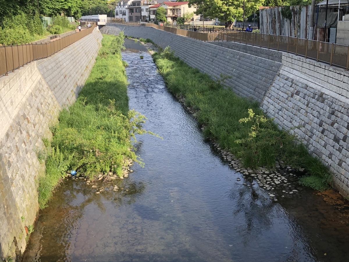 f:id:hideki-sansho:20200513125025j:plain f:id:hideki-sansho:20200513125025j:plain