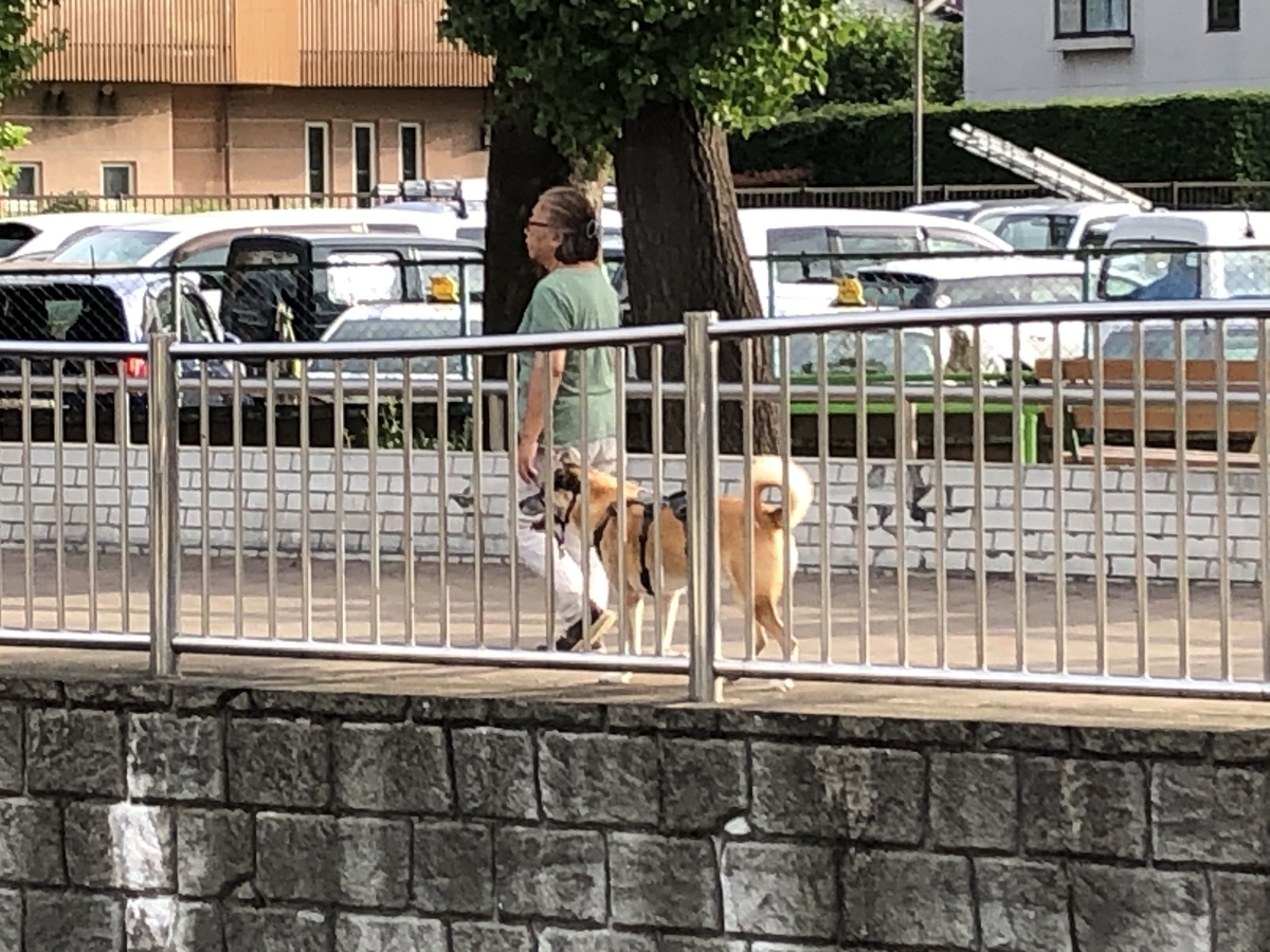 f:id:hideki-sansho:20200919112216j:plain