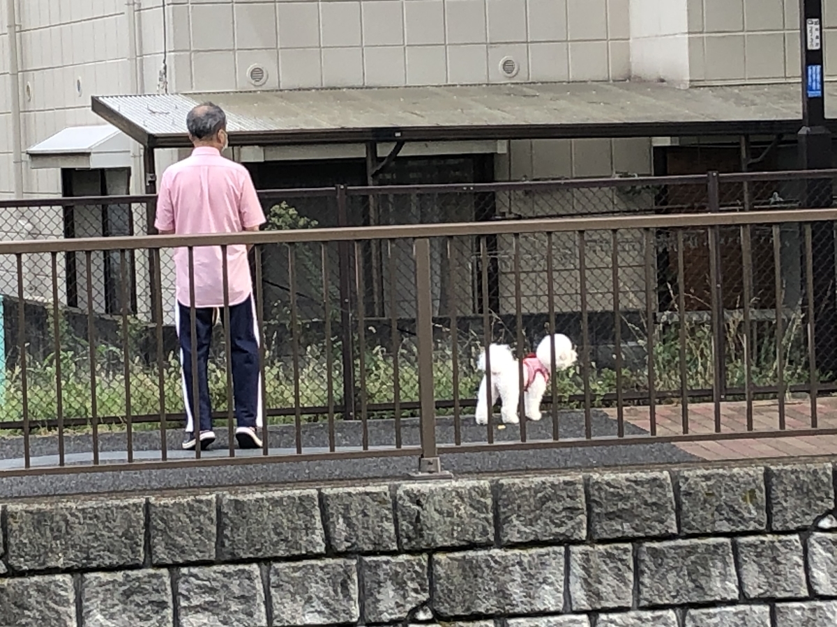 f:id:hideki-sansho:20200919112228j:plain
