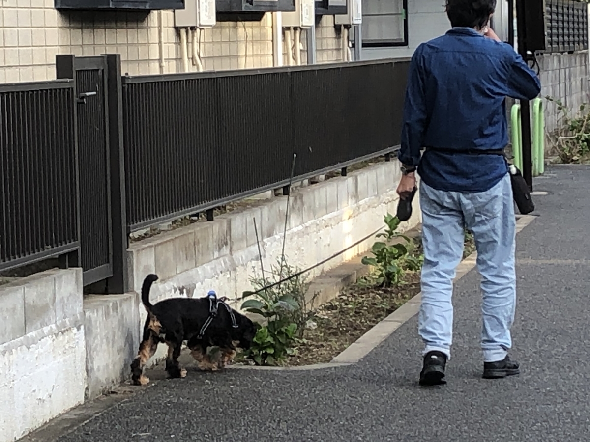 f:id:hideki-sansho:20201015135008j:plain f:id:hideki-sansho:20201015135008j:plain
