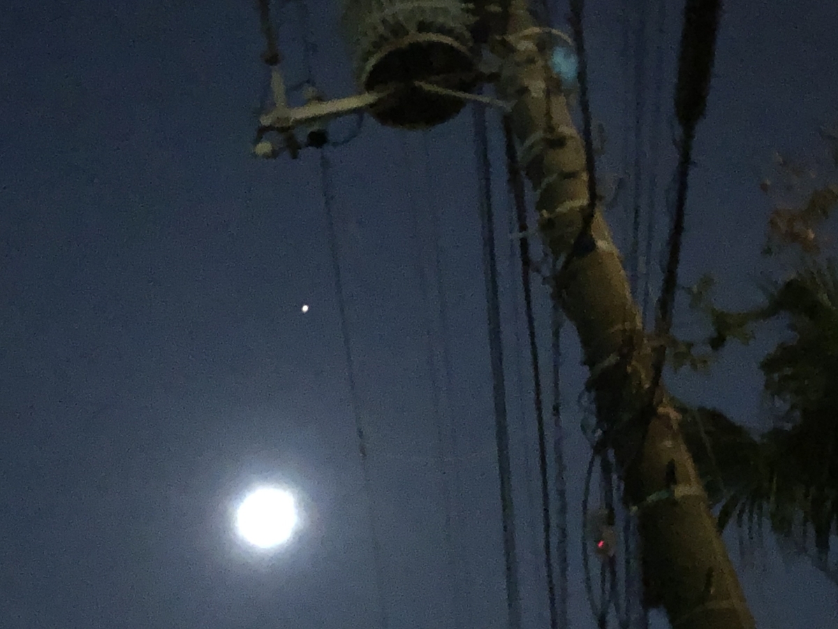 f:id:hideki-sansho:20201126224623j:plain