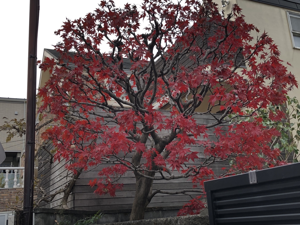 f:id:hideki-sansho:20201231101211j:plain
