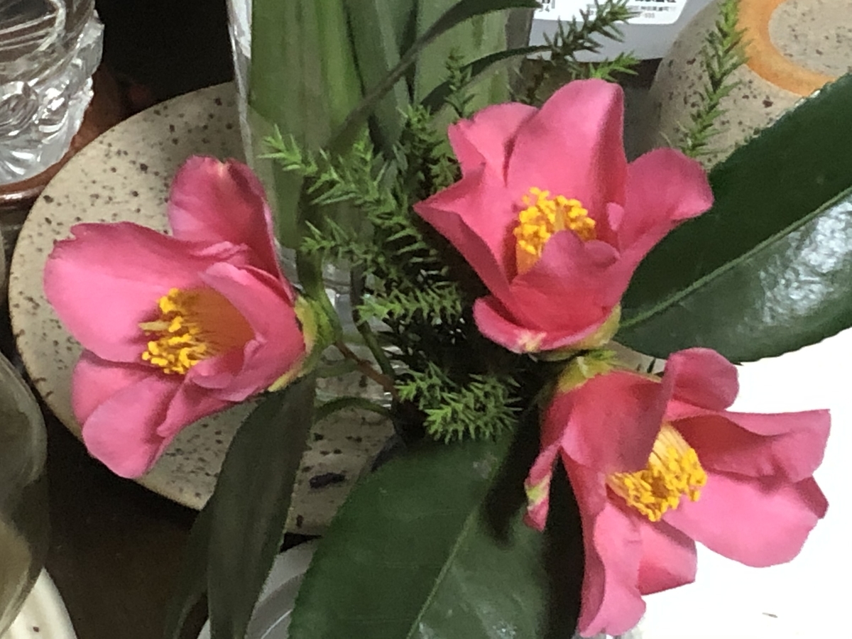 f:id:hideki-sansho:20210225113514j:plain