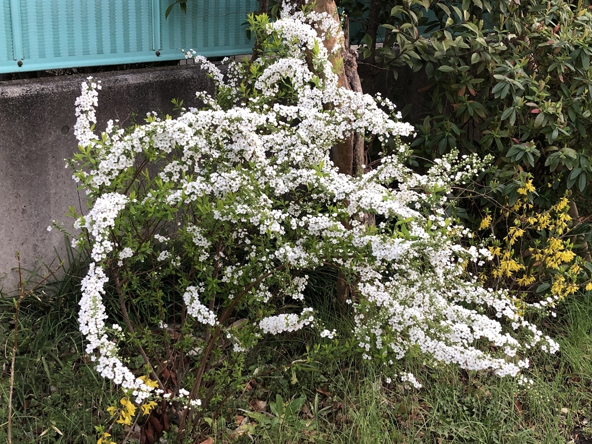 f:id:hideki-sansho:20210313145841j:plain