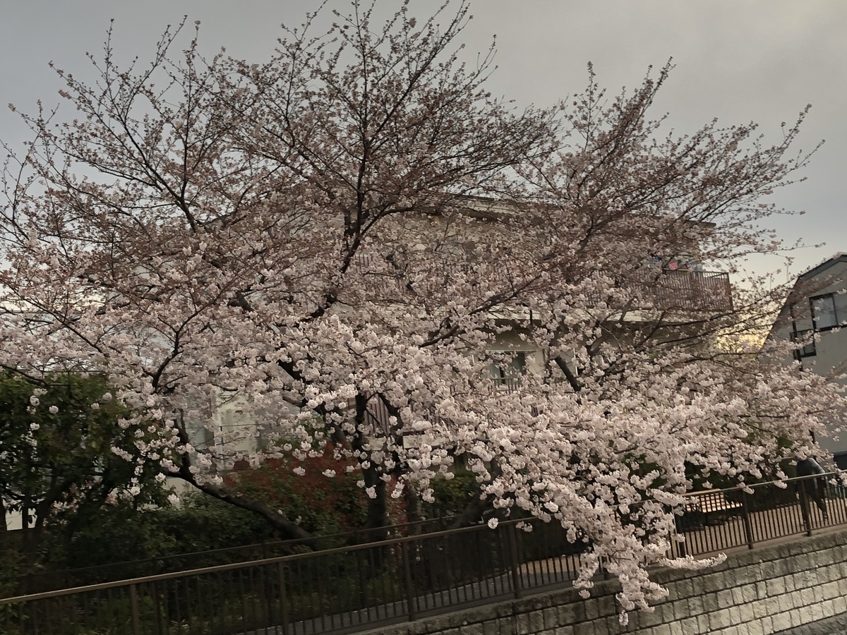 f:id:hideki-sansho:20210325095738j:plain