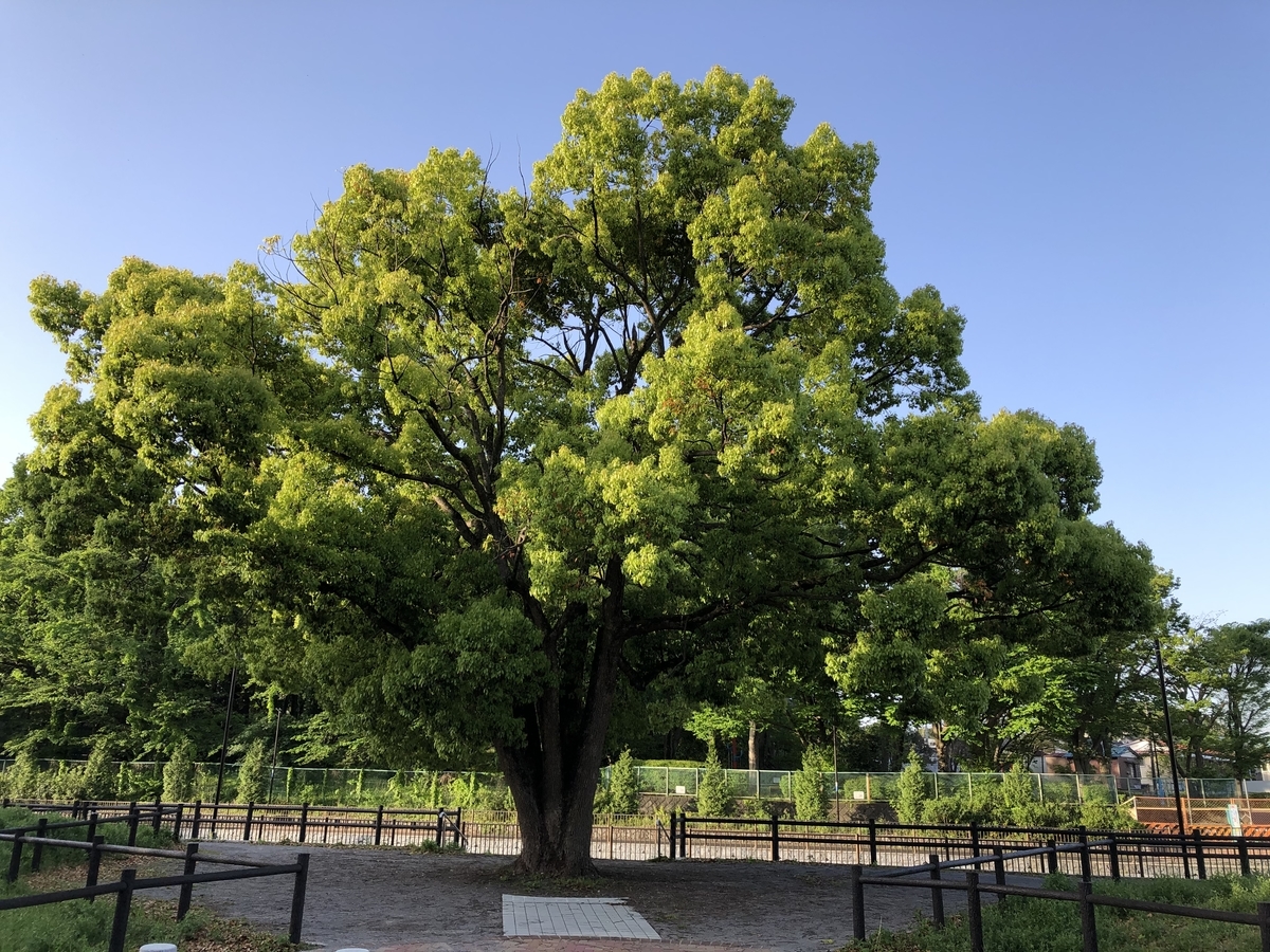 f:id:hideki-sansho:20210419094509j:plain