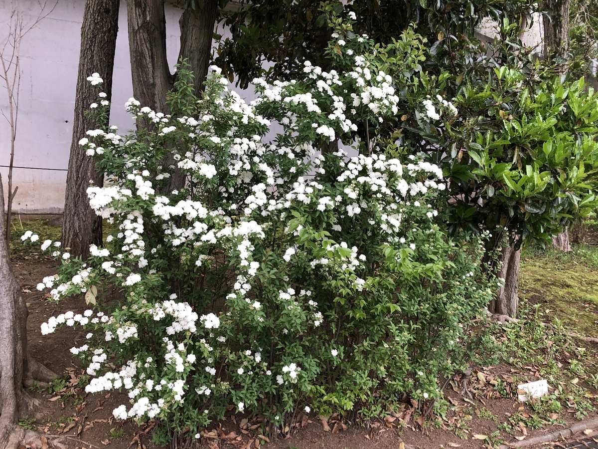 f:id:hideki-sansho:20210419154829j:plain