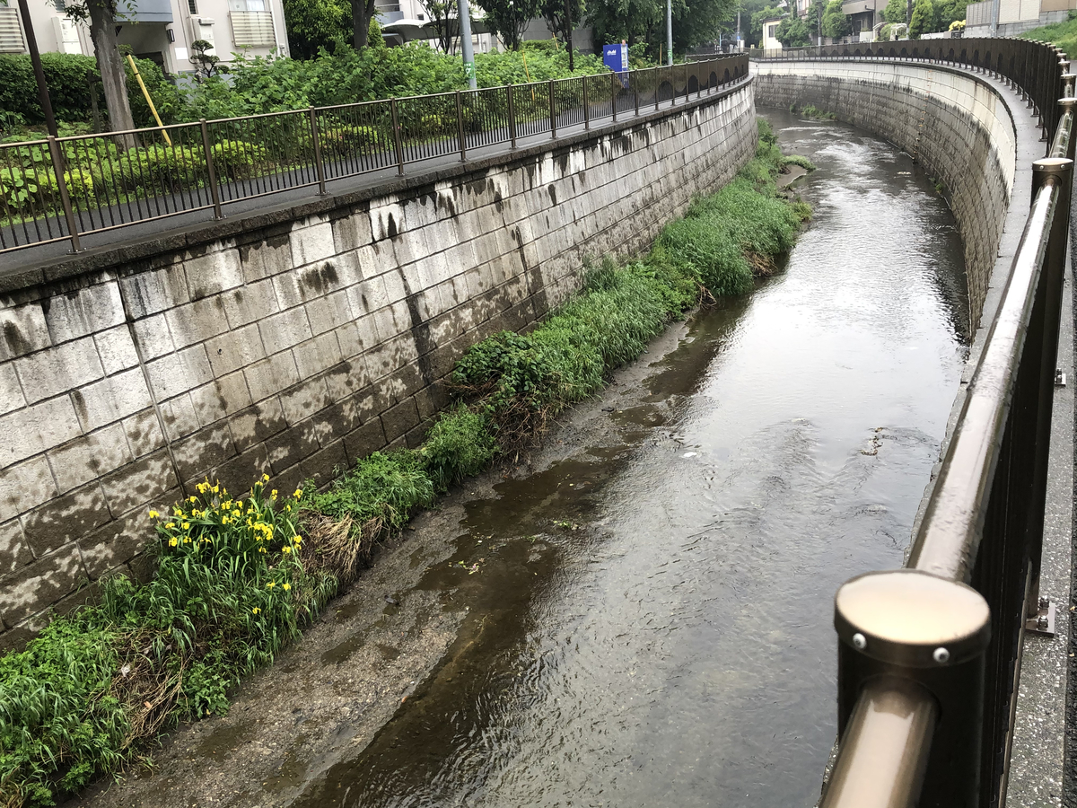 f:id:hideki-sansho:20210506164232j:plain