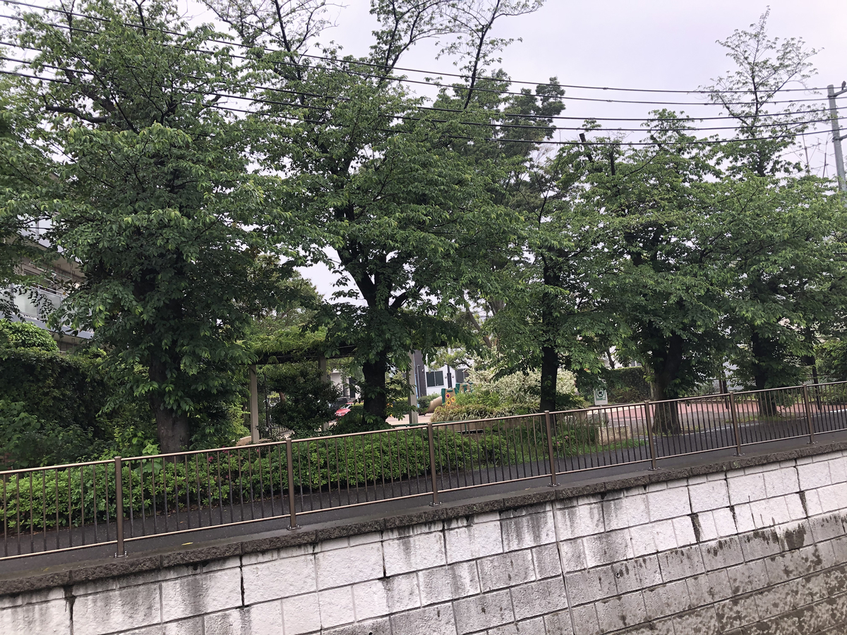 f:id:hideki-sansho:20210506164249j:plain