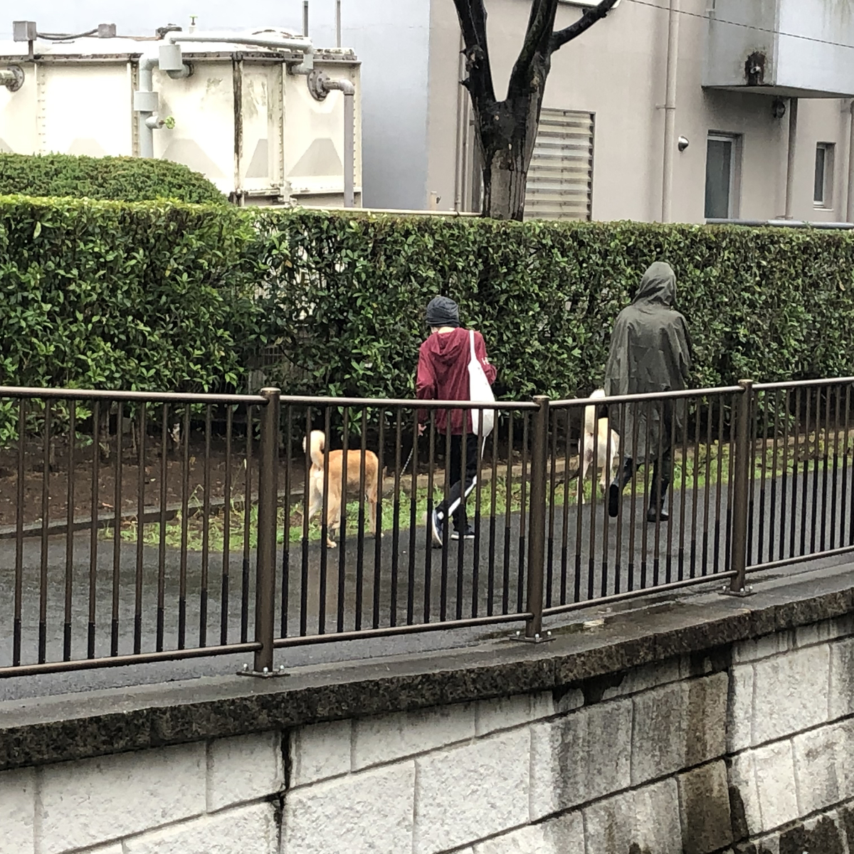 f:id:hideki-sansho:20210506164314j:plain