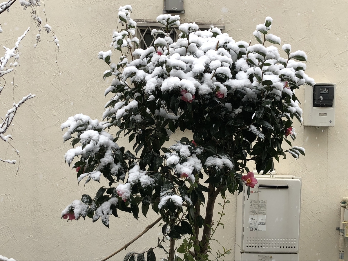 f:id:hideki-sansho:20220106182328j:plain