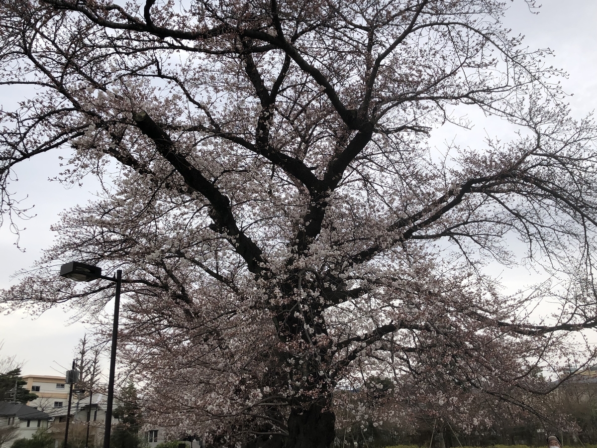 f:id:hideki-sansho:20220326210943j:plain