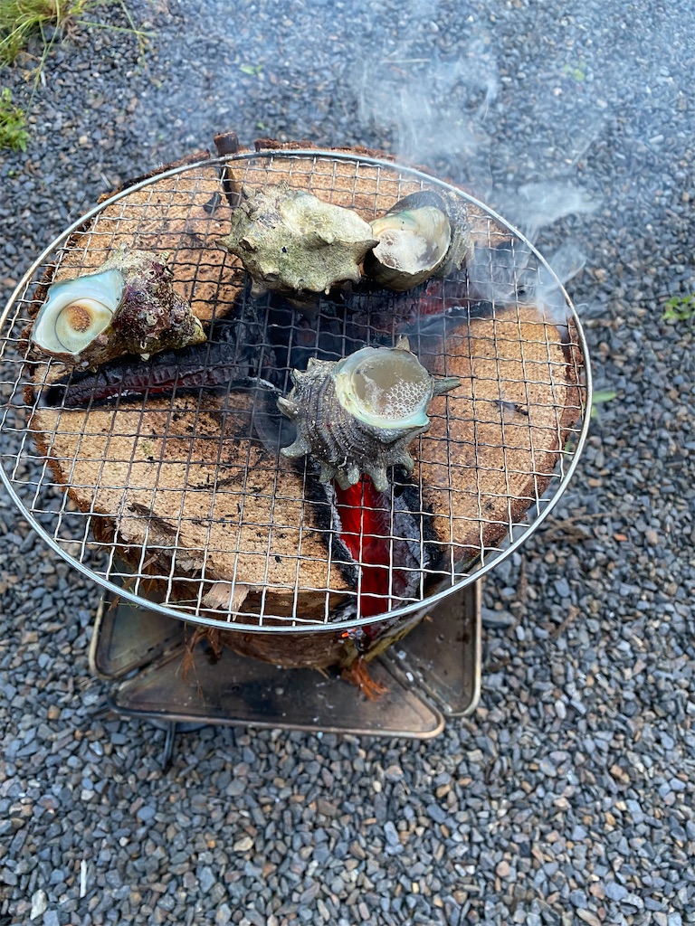 f:id:hideki-yanashita:20220925213104j:image