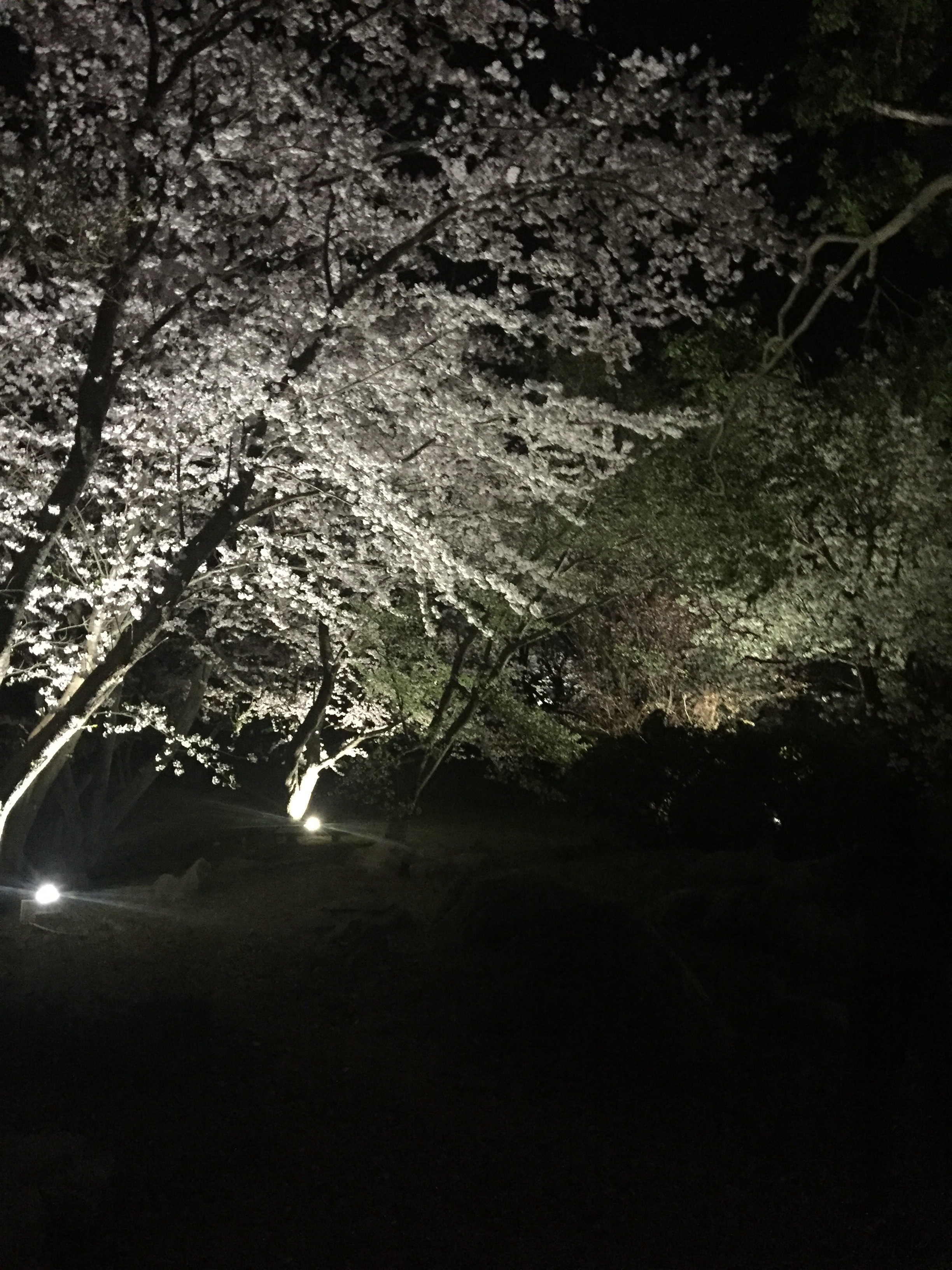f:id:hideki42:20180402202315j:image f:id:hideki42:20180402202315j:image