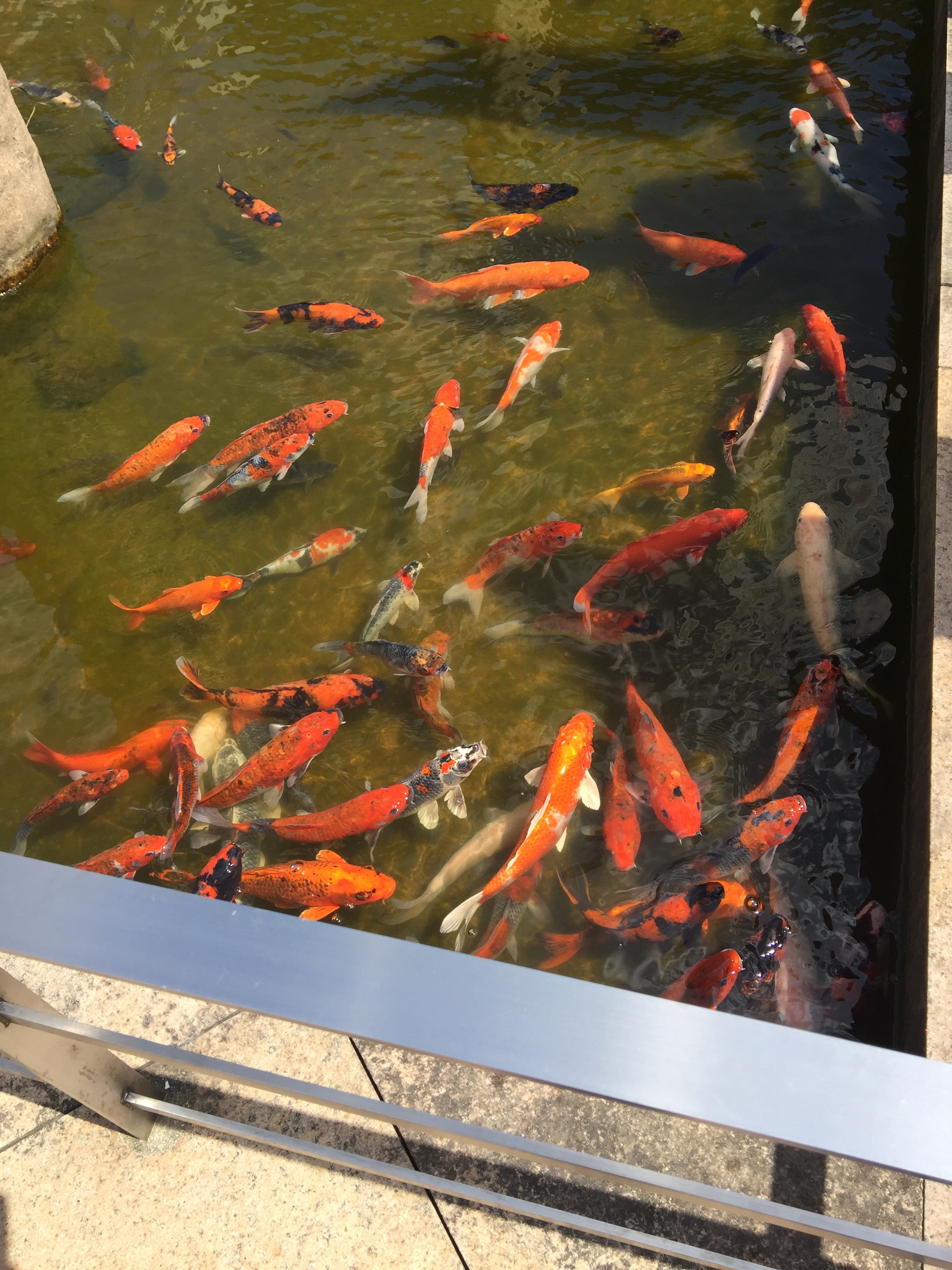f:id:hideki42:20180409001634j:image f:id:hideki42:20180409001634j:image