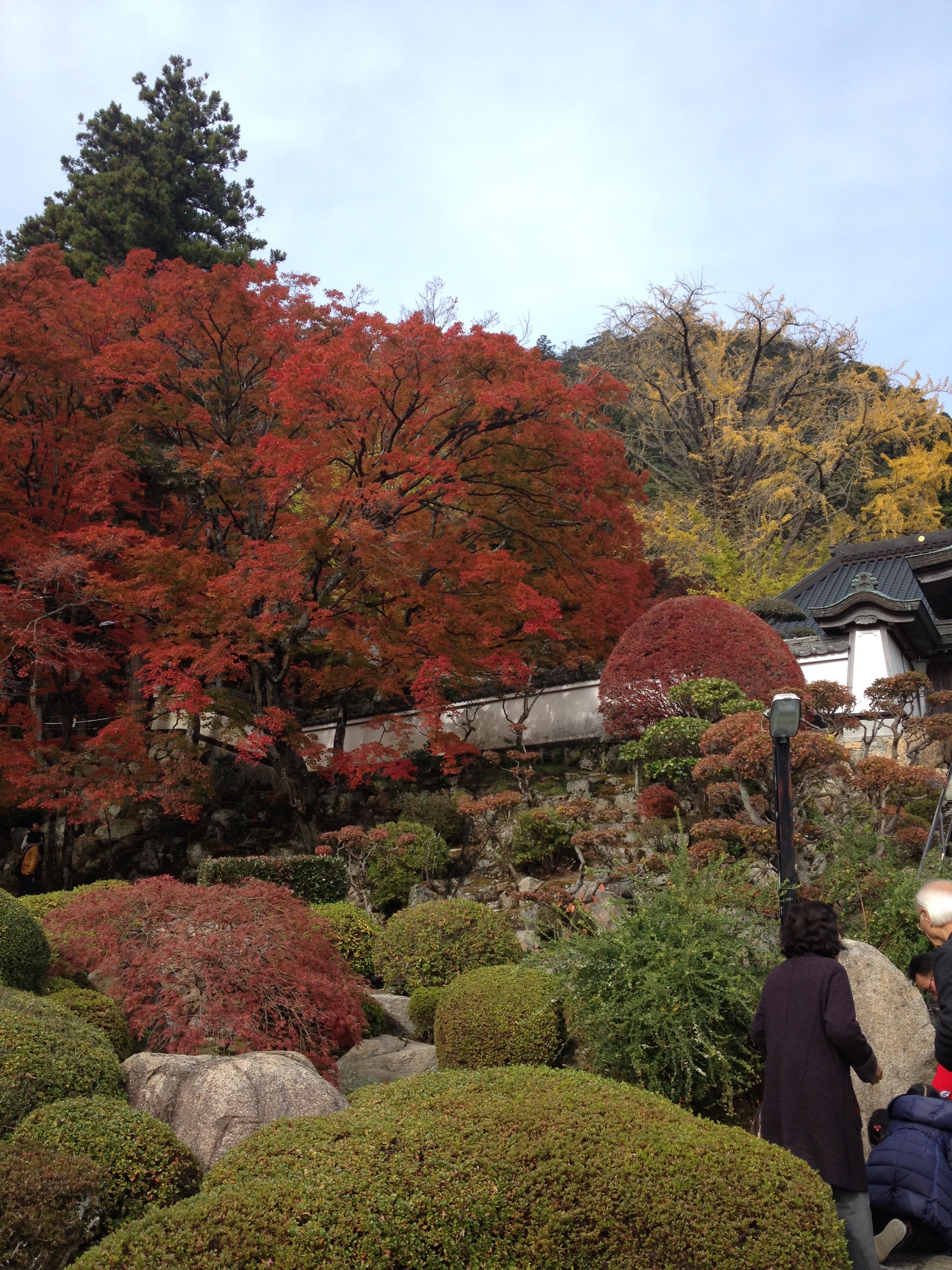 f:id:hideki42:20180417065327j:image f:id:hideki42:20180417065327j:image