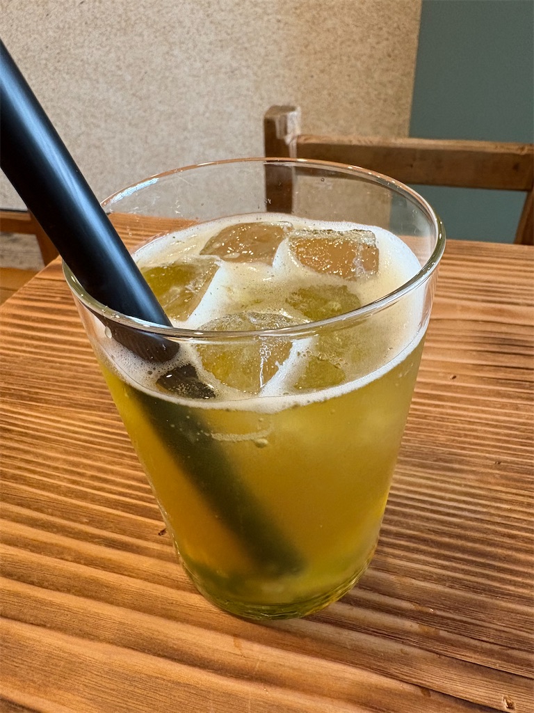 f:id:hideki_S:20250815105356j:image