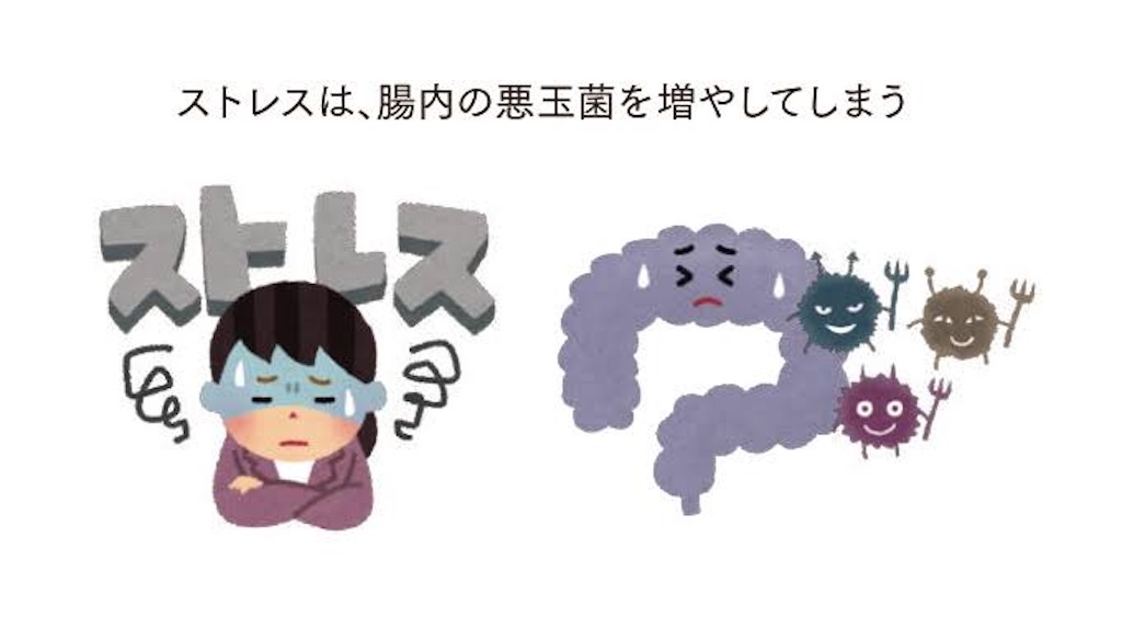 f:id:hidekiko:20210616105146j:image f:id:hidekiko:20210616105146j:image
