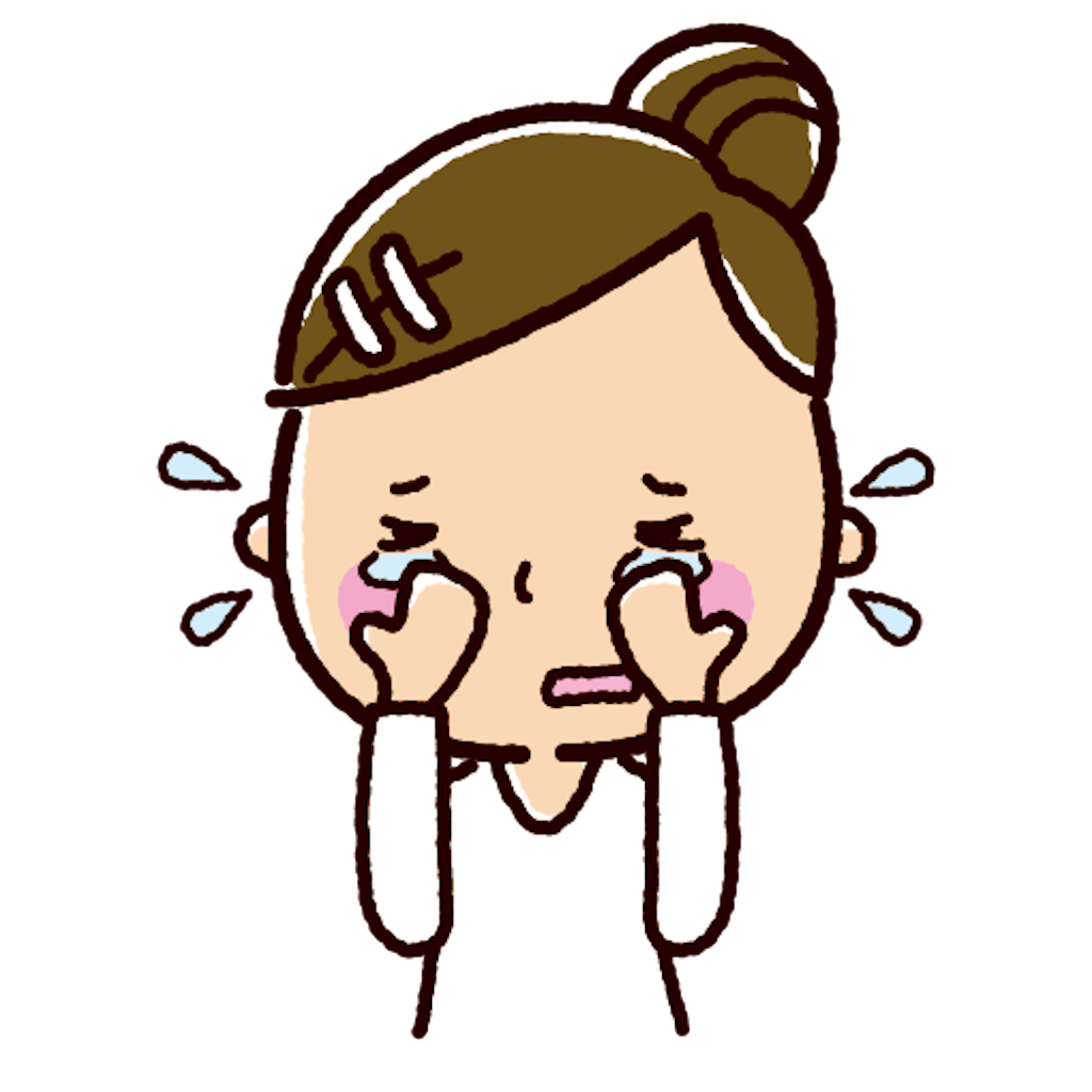 f:id:hidekiko:20241229135239p:image