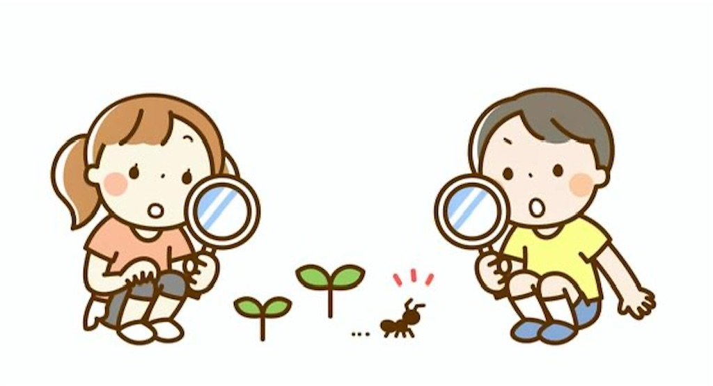 f:id:hidekiko:20260804142045j:image