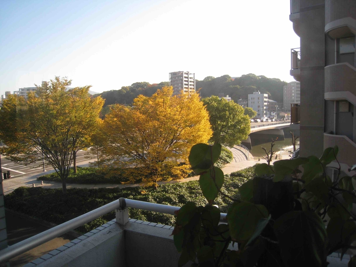 f:id:hidekimatsubara:20131123085552j:plain