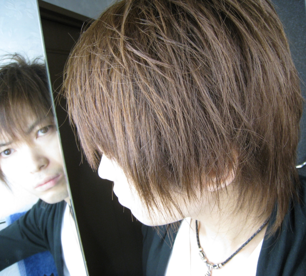 f:id:hidekimatsubara:20161207211653j:plain