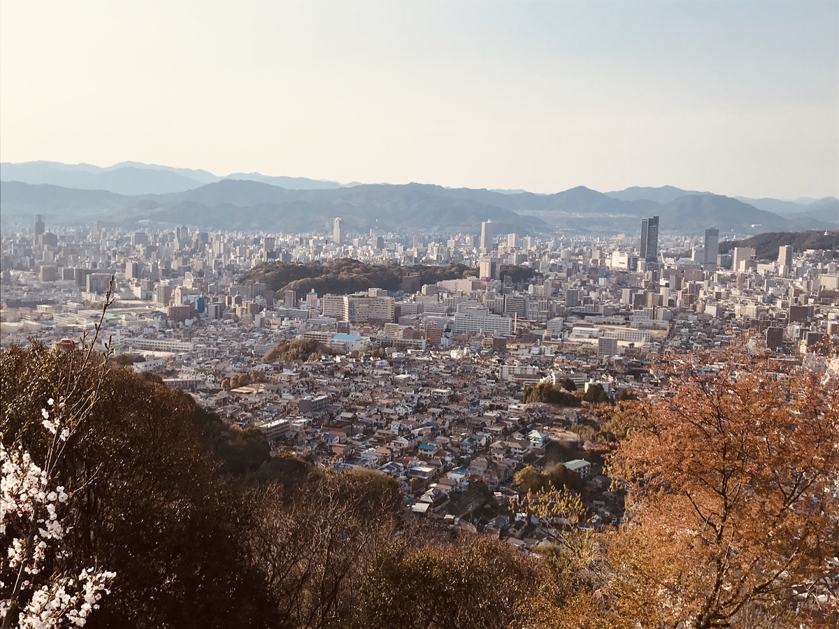 f:id:hidekimatsubara:20200422205912j:plain