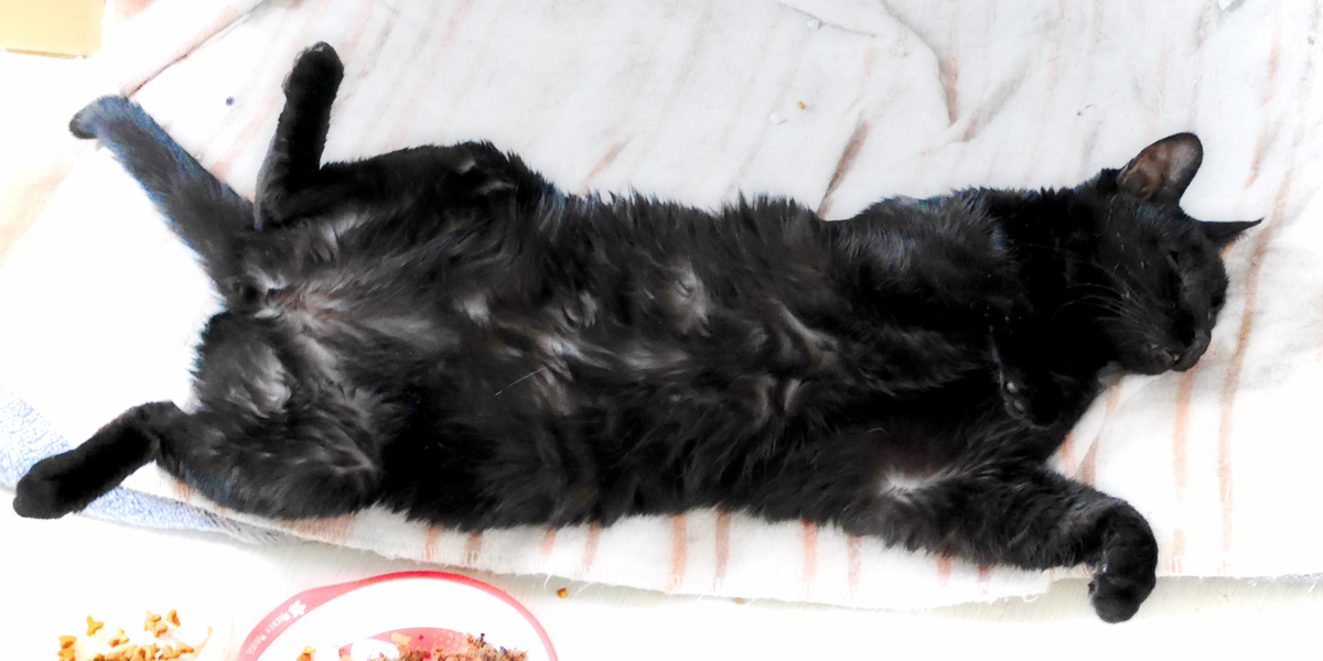 f:id:hidekimatsubara:20220219122843j:plain