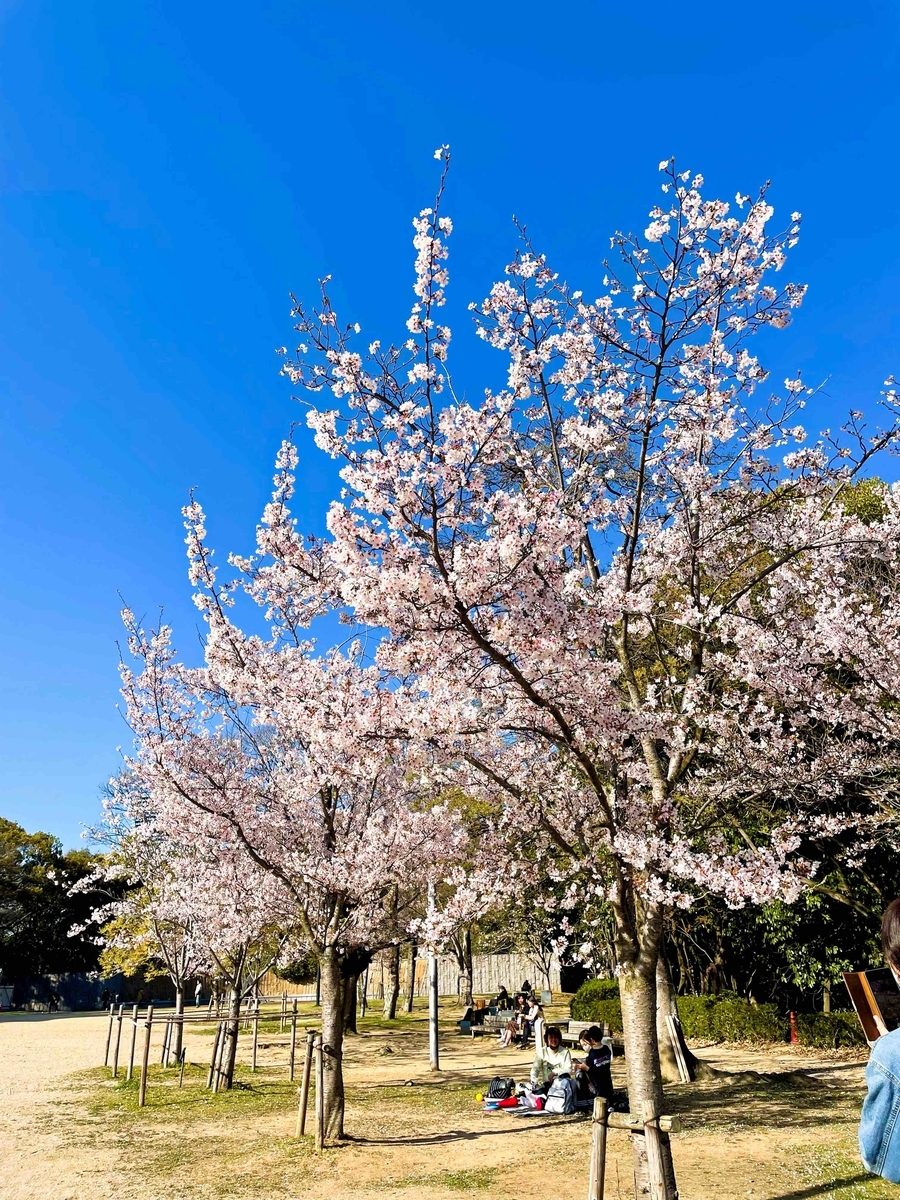 f:id:hidekimatsubara:20220418161101j:plain