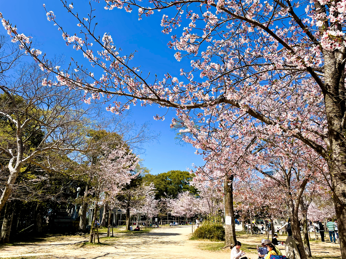 f:id:hidekimatsubara:20220418163232j:plain