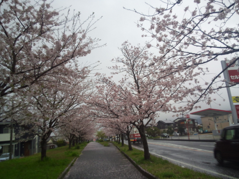 f:id:hidekun1188:20160404063442j:image