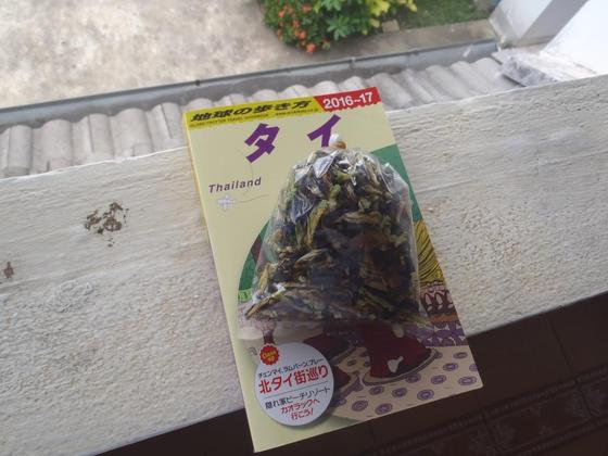 イメージ 6