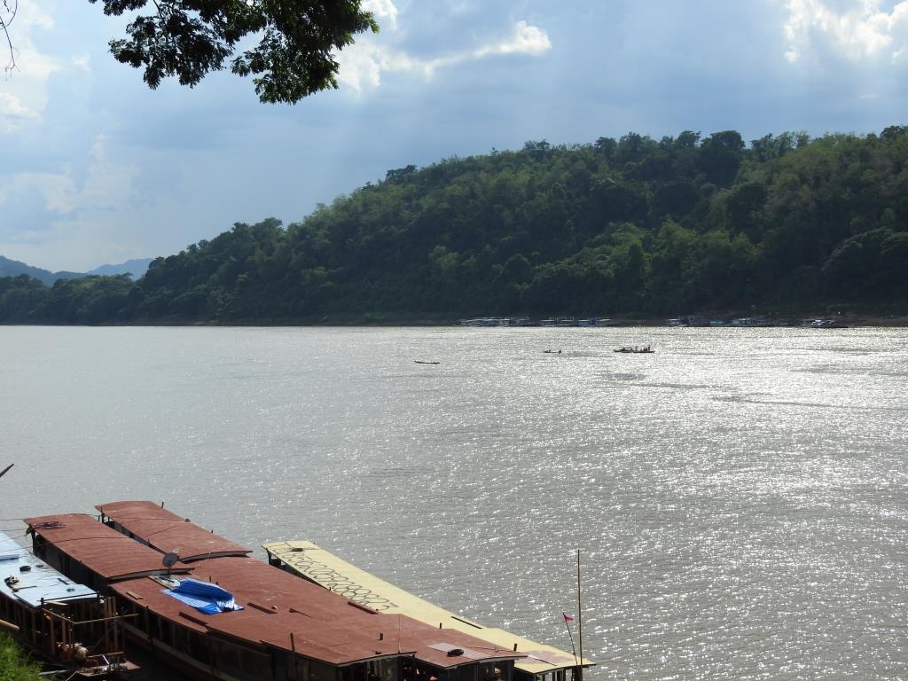 f:id:hidenaka24:20191201175358j:plain