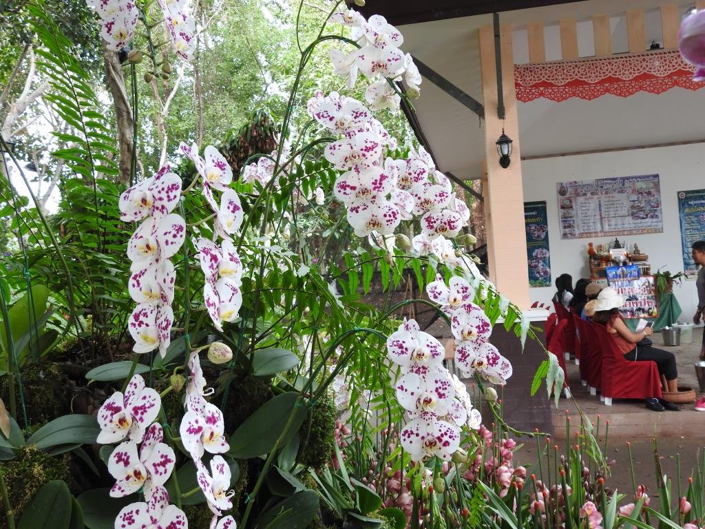 f:id:hidenaka24:20191231201150j:plain f:id:hidenaka24:20191231201150j:plain