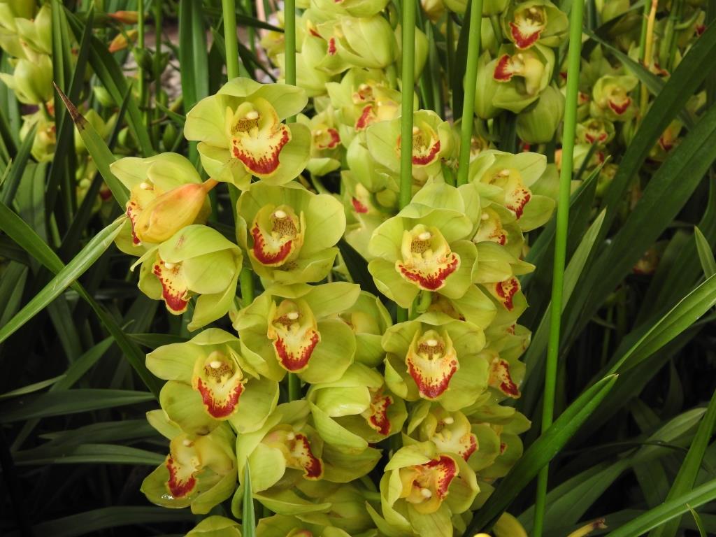 f:id:hidenaka24:20191231201211j:plain f:id:hidenaka24:20191231201211j:plain