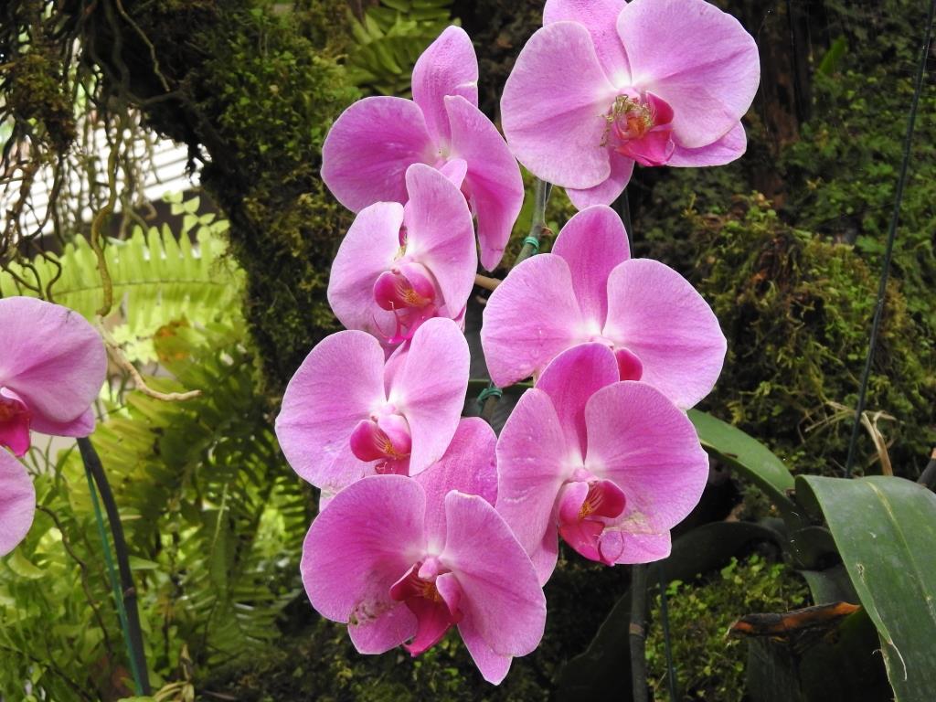 f:id:hidenaka24:20191231201219j:plain f:id:hidenaka24:20191231201219j:plain