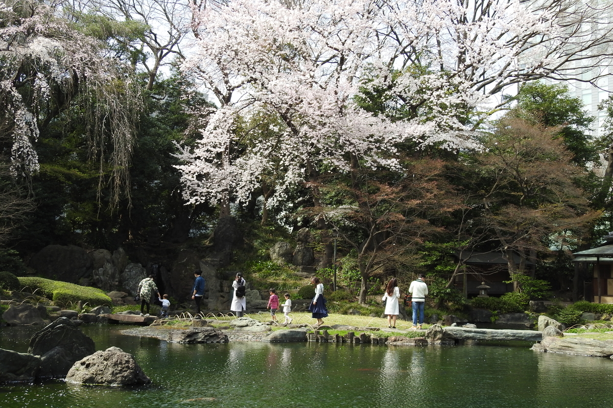 f:id:hidenaka24:20200422204917j:plain