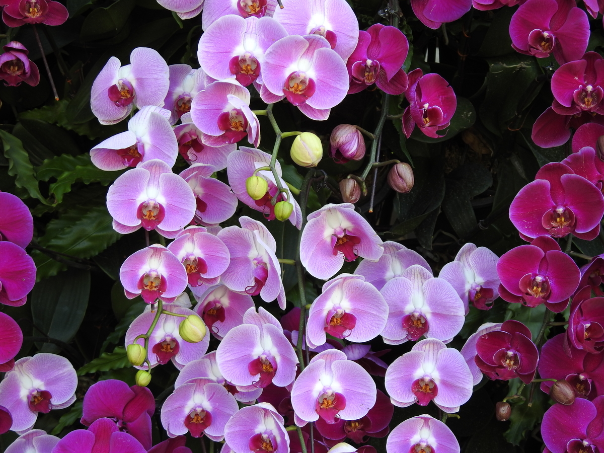 f:id:hidenaka24:20200526193634j:plain