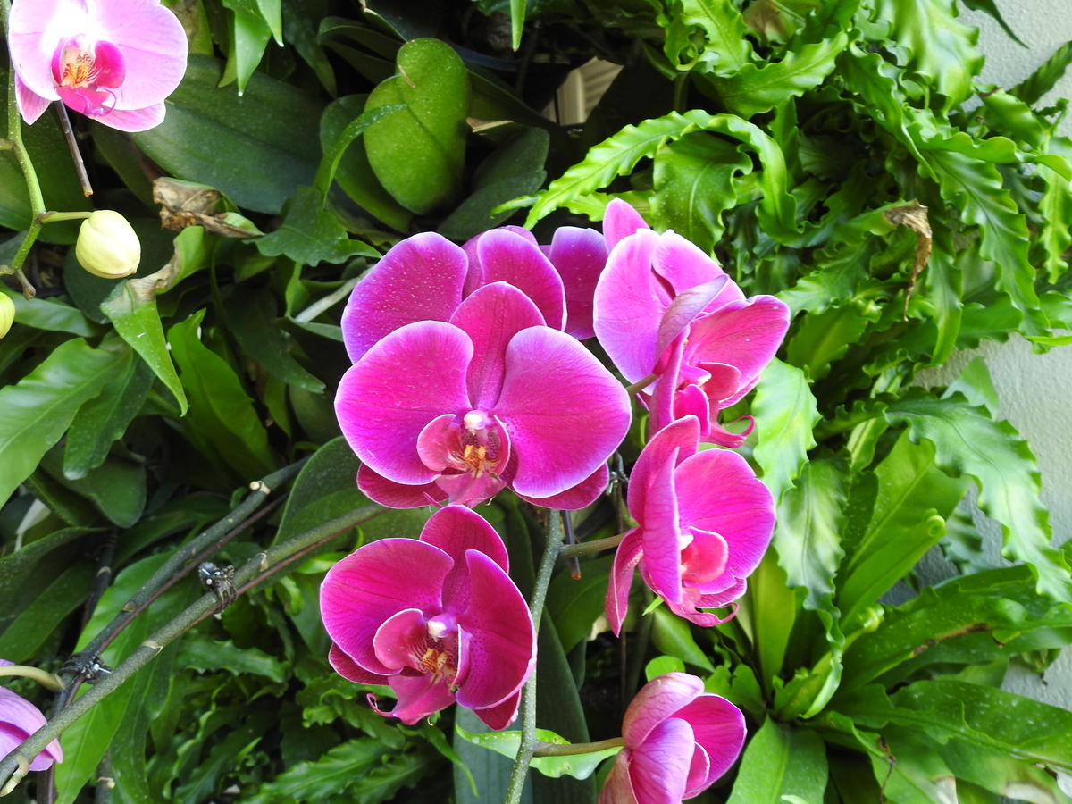f:id:hidenaka24:20200526193701j:plain